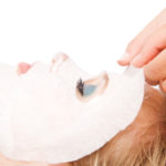 Cotton Gauze Face Mask