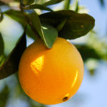 Fresh Orange Jacuzzi Bath Salt